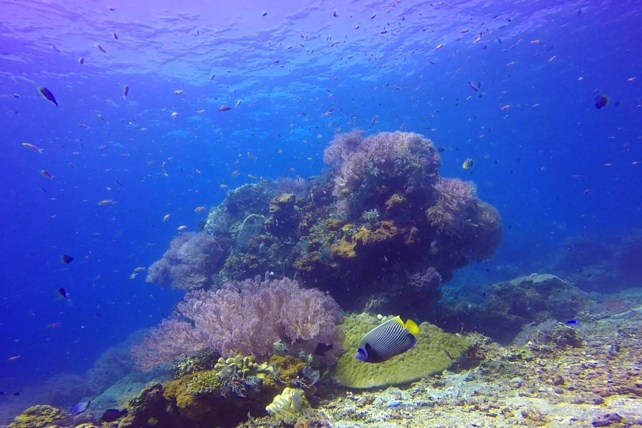 Selang Resort Amed Exteriér fotografie